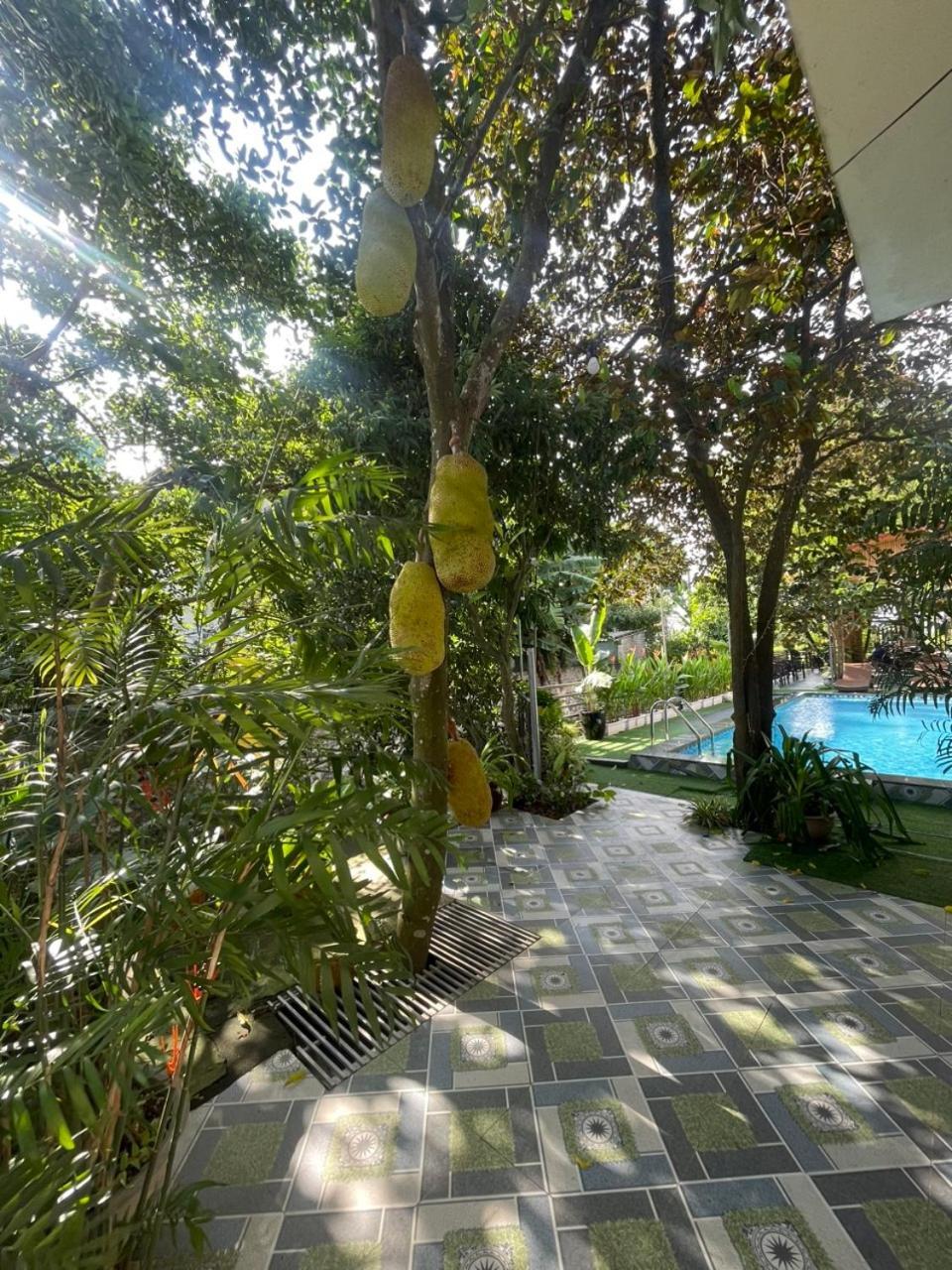 Tam Coc Relax Homestay Ninh Bình Extérieur photo
