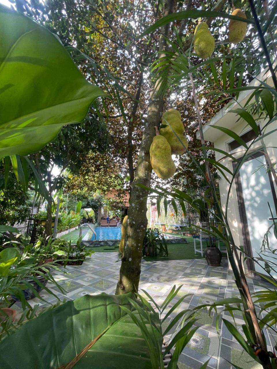 Tam Coc Relax Homestay Ninh Bình Extérieur photo